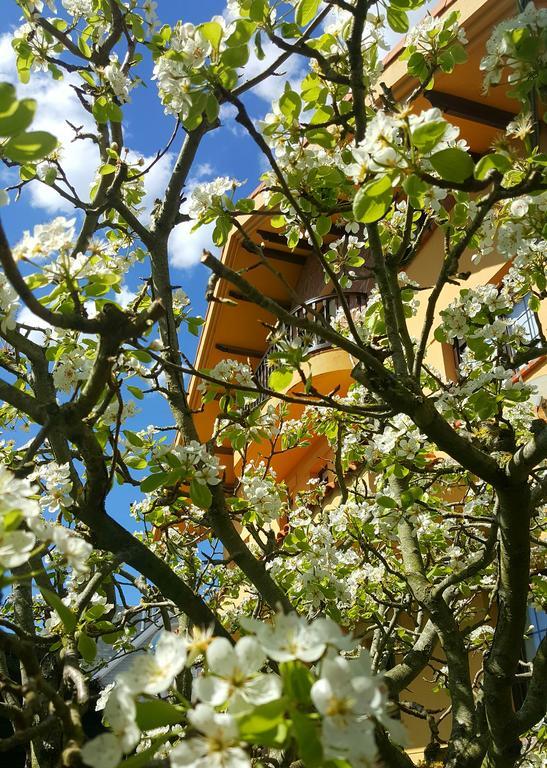 Posada Las Garzas Santoña Zewnętrze zdjęcie